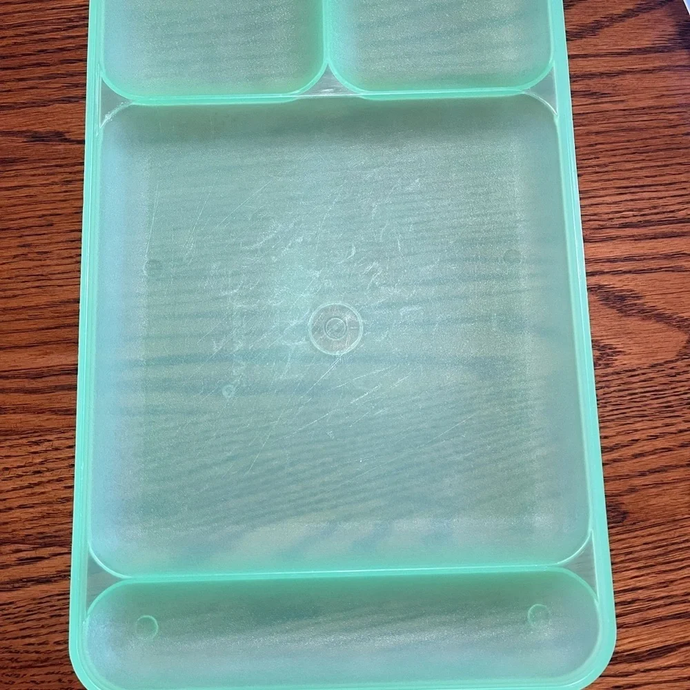 Tupperware Classic Divided Picnic Camping‎ Trays Set of 4 Multicolor #1535